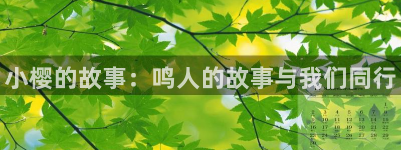 耽漫网之家