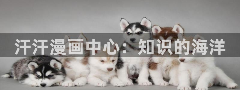 耽漫网下载